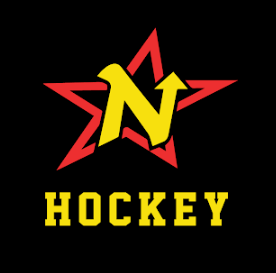 Duluth Northstar Stars Hockey